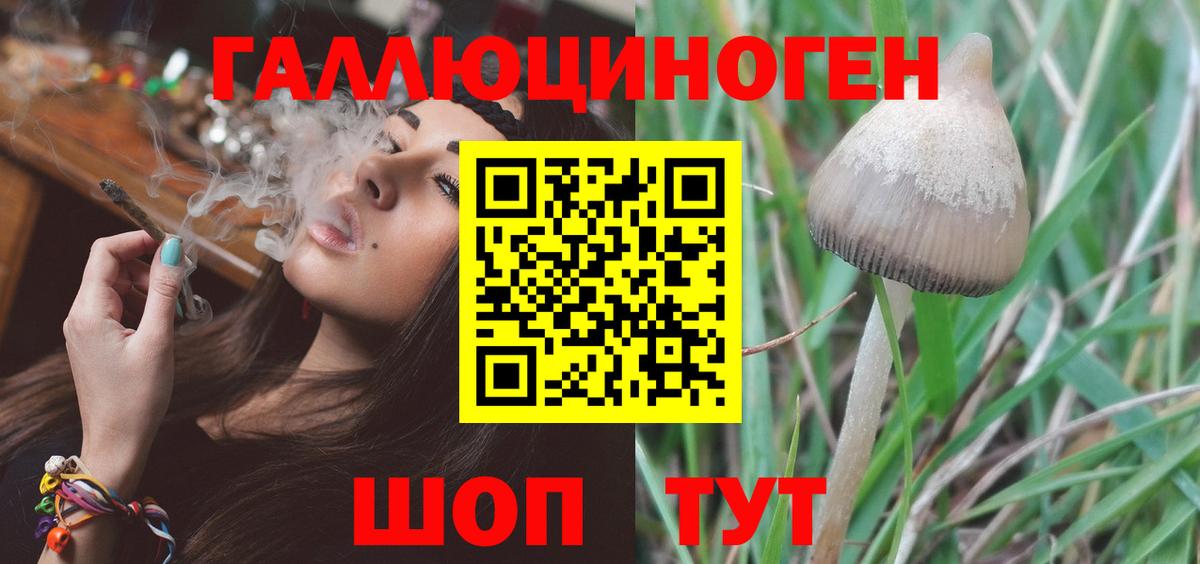 Сердобск  Псилоцибиновые грибы мухоморы  Вход с VPN  Галлюциногенные грибы мухоморы 